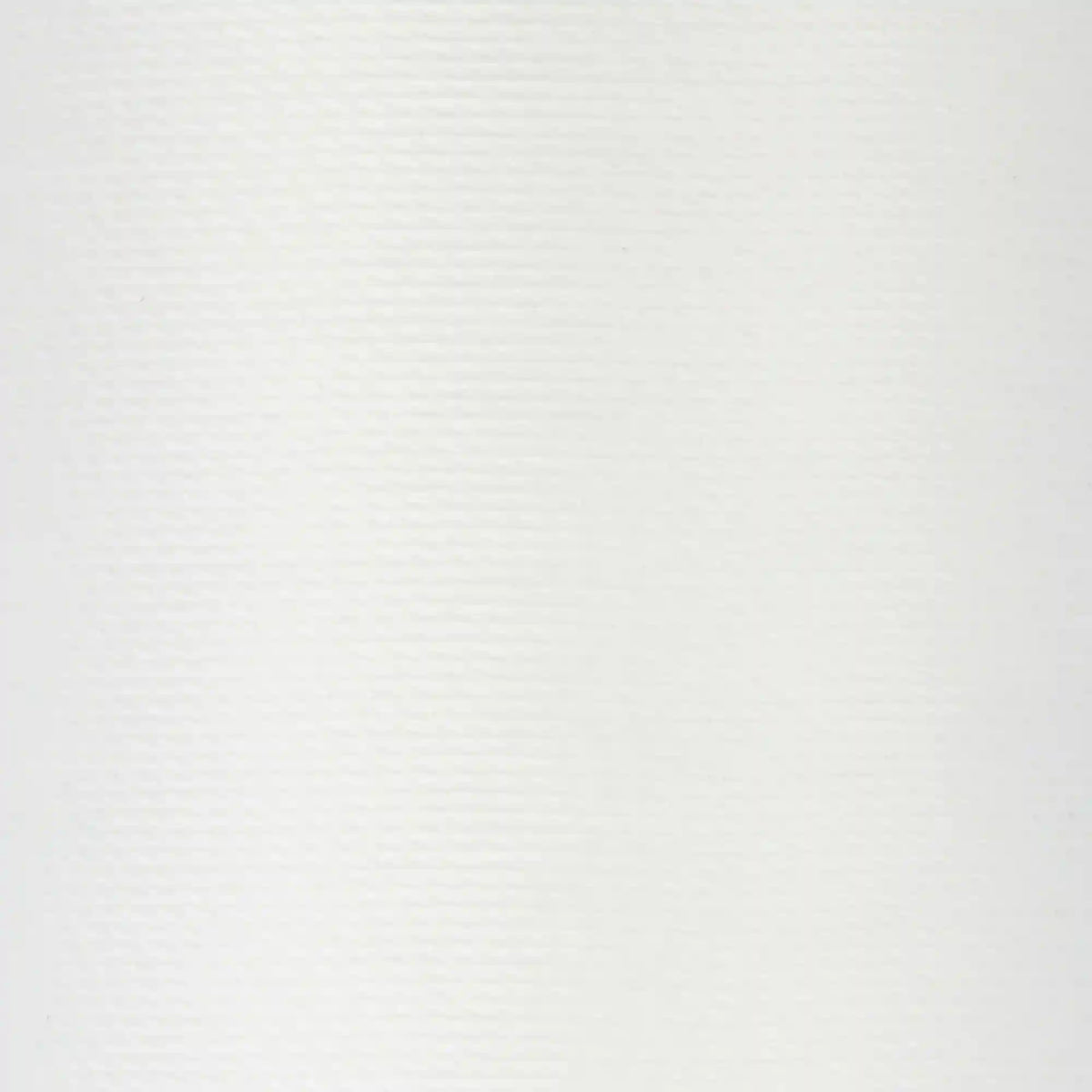 Coats & Clark Extra Strong Upholstery Thread (150 Yards)