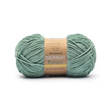 Bernat Future Hope Yarn (170g/6oz)