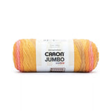 Caron Jumbo Ombre Yarn