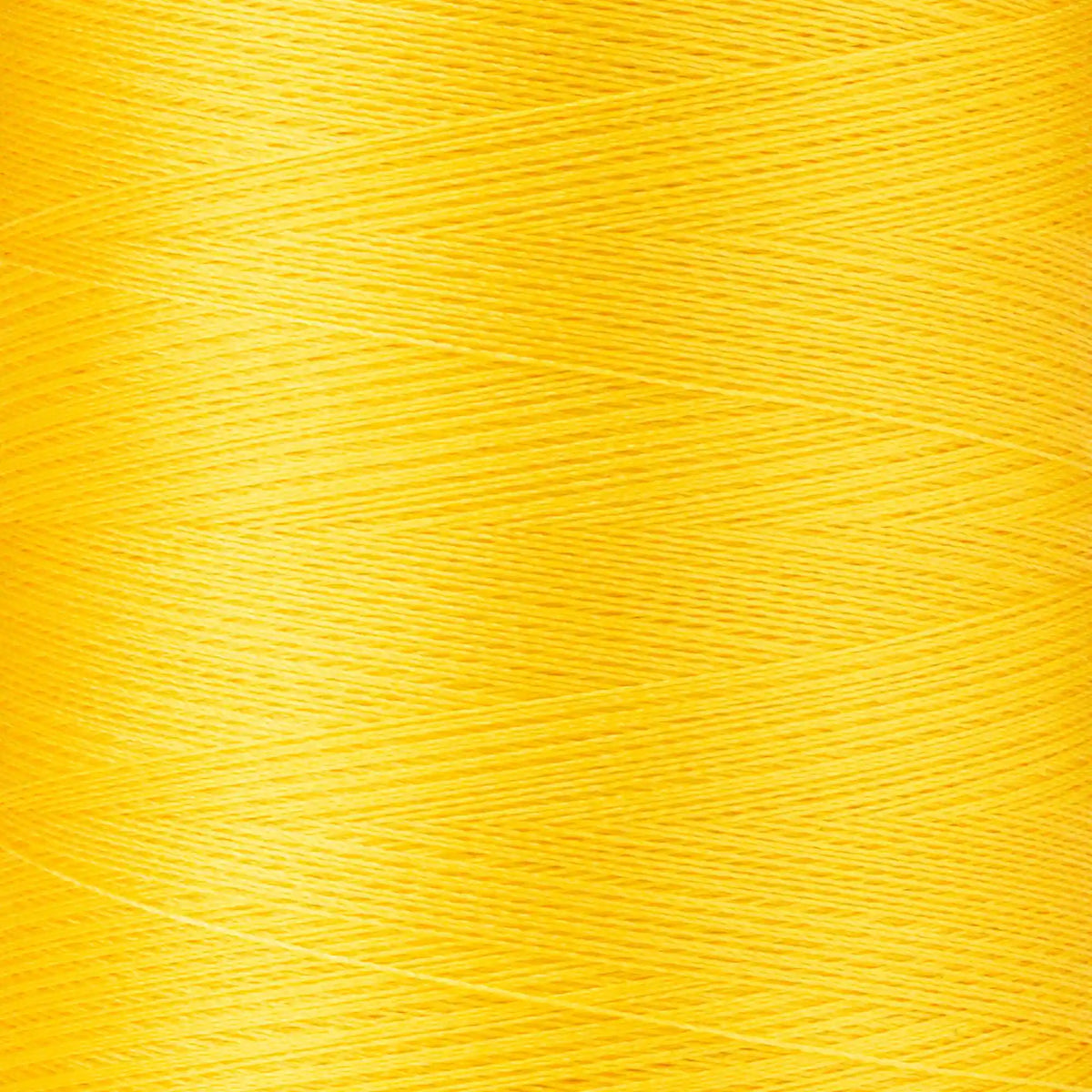 Coats & Clark Professional Machine Embroidery Thread (4000 Yards)