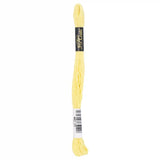 Coats & Clark Cotton Embroidery Floss