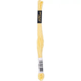 Coats & Clark Cotton Embroidery Floss